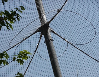 A pillar that joints four parts of aviary netting together and reinforced them with cable rings.