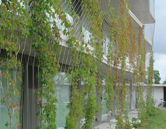 Green facades cover the outside of a building to prevent falling accidents.