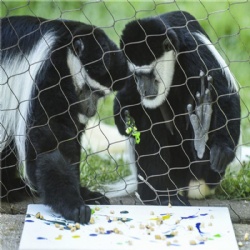 Monkey Enclosure Mesh - Secure & Invisible Animal Habitats