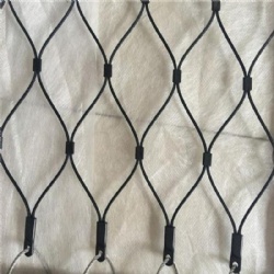 Black Oxide Zoo Mesh: A Reliable and Long-lasting Solution