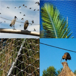 peacock rope mesh fencing Haven with Stainless Steel Wire Rope