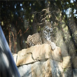 Zoo Mesh For Sale : Perfect for Animal Enclosures