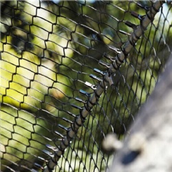 Zoo Mesh Netting for Durable and Safe Animal Enclosures