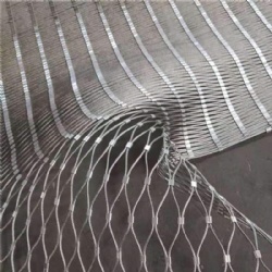 Why Stainless Steel Zoo Mesh is Ideal for Bird Protection
